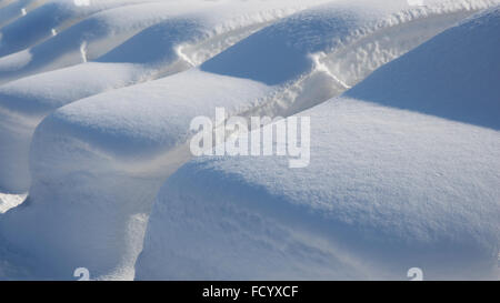 Molte automobili parcheggiate sotto la neve profonda coperchio dopo la bufera di neve. Foto Stock