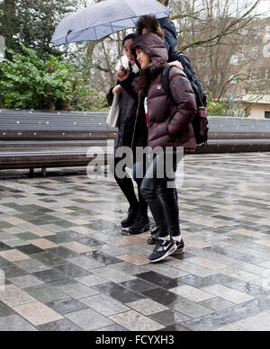 Brighton, Regno Unito. . Condividere un ombrello a Brighton oggi come la tempesta che ha causato il caos neve negli Stati Uniti arriva in Gran Bretagna oggi portando galee e pioggia Credit: Simon Dack/Alamy Live News Foto Stock