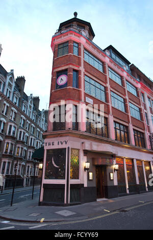 L'Edera ristorante, situato sulla West Street, Covent Garden, nel cuore del West End di Londra, London, England, Regno Unito Foto Stock