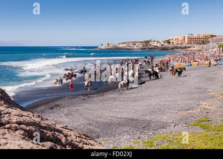 Il rito annuale la balneazione dei cavalli nel mare di Playa La Enramada, La Caleta, come parte delle feste di San Sebastian. Ogni y Foto Stock