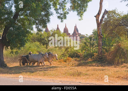 Forma tradizionale di viaggiare al di fuori di un antico tempio di Bagan, Myanmar Foto Stock