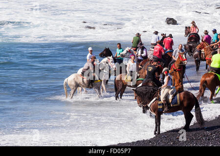 Il rito annuale la balneazione dei cavalli nel mare di Playa La Enramada, La Caleta, come parte delle feste di San Sebastian. Ogni y Foto Stock