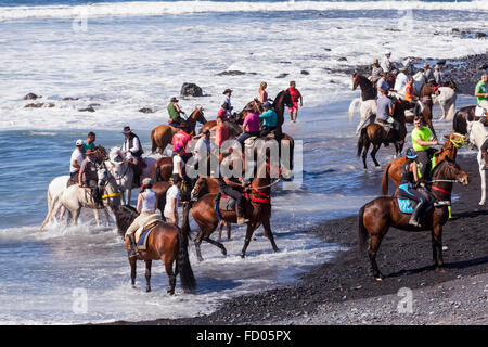 Il rito annuale la balneazione dei cavalli nel mare di Playa La Enramada, La Caleta, come parte delle feste di San Sebastian. Ogni y Foto Stock