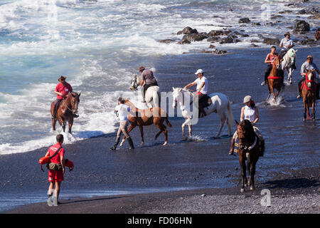 Il rito annuale la balneazione dei cavalli nel mare di Playa La Enramada, La Caleta, come parte delle feste di San Sebastian. Ogni y Foto Stock