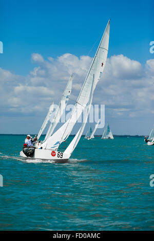 International Star Class Yacht Racing alla 2009 Bacardi Cup regata Foto Stock