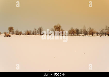 Lago innevato con alberi in background piestany Slovacchia Foto Stock