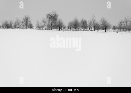 Lago innevato con alberi in background piestany Slovacchia Foto Stock