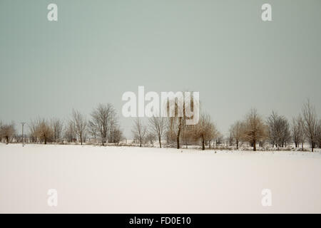 Lago innevato con alberi in background piestany Slovacchia Foto Stock