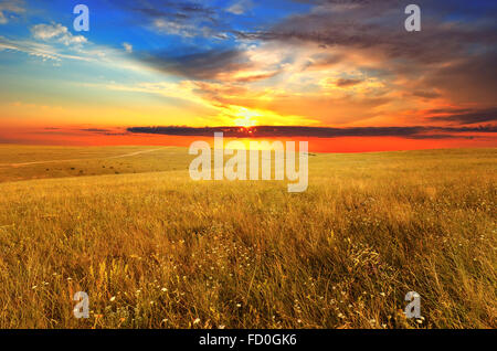 Tramonto spettacolare sopra il campo selvaggio. Paesaggio estivo. Foto Stock