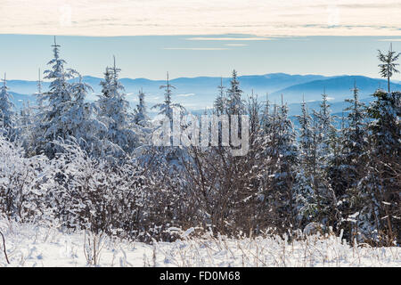 Bellissimo paesaggio innevato in Quebec Eastern Townships regione, Canada Foto Stock