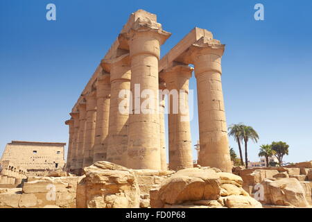 Antica colonna nel tempio di Luxor Luxor Egitto Foto Stock