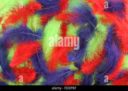 Sfondo - piccolo rosso, blu, verde plumes situato in modo irregolare Foto Stock