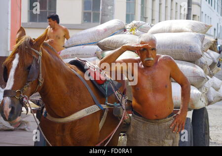 Coltivatore di caffè caffè di caricamento Foto Stock