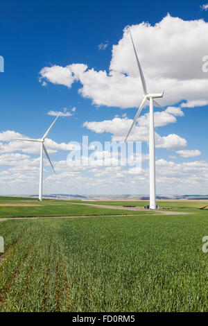 Il mulino a vento e campi di grano nella regione Palouse dello stato di Washington che mostra un terreno utilizzato per più scopi. Generazione elettrica Foto Stock