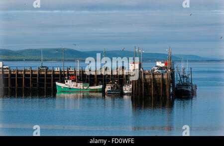 Barche da pesca in porto a bassa marea in Digby, Nova Scotia. Foto Stock