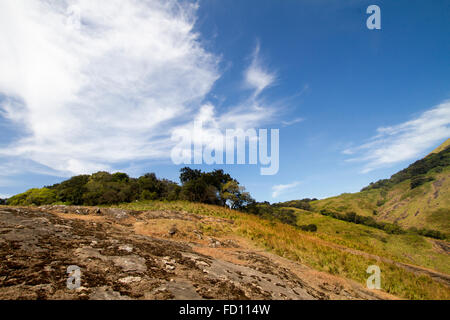 Verdi montagne Nelliyampathy, Kerala, India Foto Stock