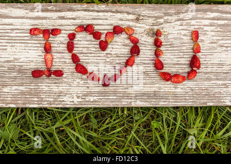 Le fragole sono indicate nelle lettere su uno sfondo di erba verde e bordo. Foto Stock