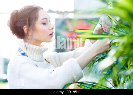 Ritratto di concentrato piuttosto giovane donna giardiniere di prendersi cura di piante in aranciera Foto Stock