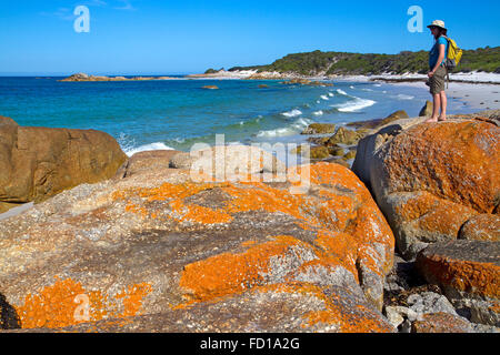 Stumpys Bay in Mt William Parco Nazionale Foto Stock