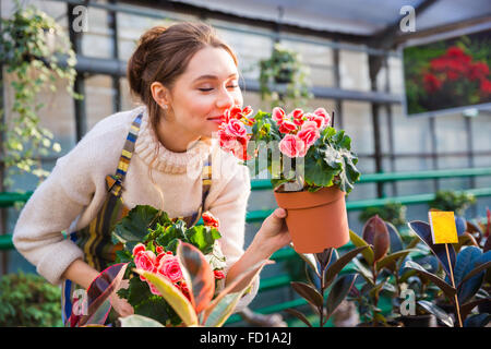 Attraente carino donna giardiniere profumati fiori di colore rosa in pentola con gli occhi chiusi in serra Foto Stock