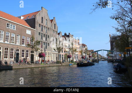 Barca con i turisti in Oude Rijn canale nel centro storico di Leiden, Paesi Bassi Foto Stock