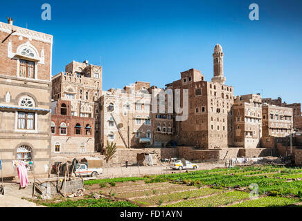 Urban orto in sanaa città vecchia yemen Foto Stock