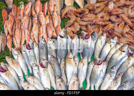 Pesce fresco in vendita visto in un mercato di Istanbul Foto Stock
