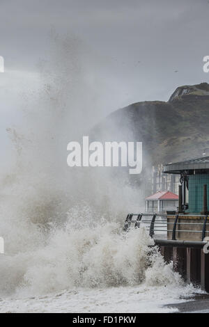 Aberystwyth, Wales, Regno Unito. Il 27 gennaio, 2016. I resti di tempesta Jonas continua a portare gale force si snoda in Galles e ovest del Regno Unito oggi. Il rigonfiamento enorme dalla tempesta, combinato con un 5,1 milioni di alta marea questa mattina ha prodotto enormi ondate di pastella il lungomare e le difese del mare intorno alla città è di nuovo bandstand phot Credit: Keith Morris/Alamy Live News Foto Stock