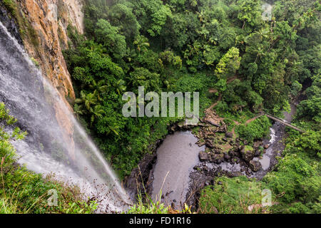 Cascata cerca su cliff caduta per la laguna e la foresta pluviale tropicale nel Springbrook National Park, Gold Coast, Australia. Foto Stock