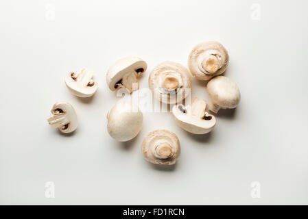I funghi freschi champignon isolato su uno sfondo bianco. Foto Stock