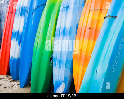 Colorato kayak o canoa permanente sulla fine Foto Stock