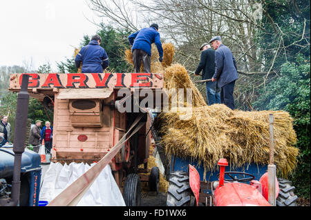 Membri del salto di distretto e di Club Vintage dimostrare il vecchio tempo trebbiatura in Leap, West Cork, Irlanda. Foto Stock