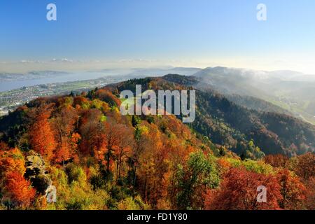 Vista dall'Uetliberg vicino a Zurigo oltre il colore di autunno Albis colline e il lago di Zurigo, nella parte anteriore delle Alpi Svizzere panorama Foto Stock