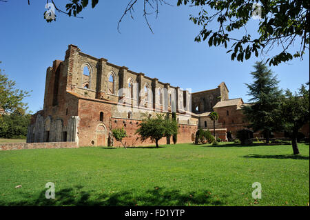 Abbazia di San Galgano, Toscana, Italia Foto Stock