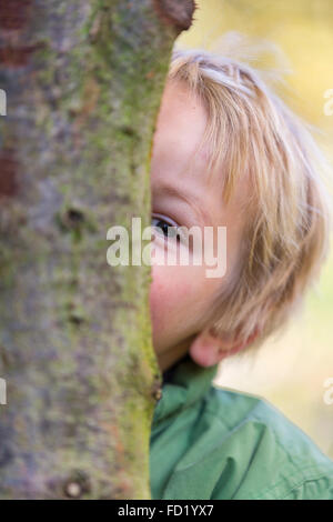 Ragazzo dietro tree, giocare a nascondino, 3 anni, Bassa Sassonia, Germania Foto Stock