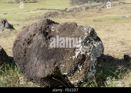 Capo di un caduto Moai, Tahai complesso cerimoniale, Hanga Roa, Parco Nazionale di Rapa Nui, Isola di Pasqua, Cile, Patrimonio Mondiale dell Unesco Foto Stock