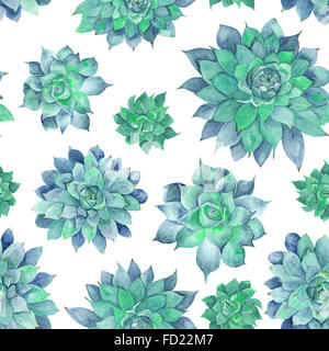 Dipinte a mano e senza soluzione di continuità con texture verde pianta tropicale isolata su sfondo bianco, Sempervivum illustrazione botanica Foto Stock