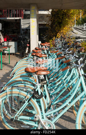 Noleggio di biciclette shop / moto / Ciclo schema di noleggio - accanto al Café de Pont su Buiksloterweg, Amsterdam, Olanda settentrionale. Paesi Bassi Foto Stock