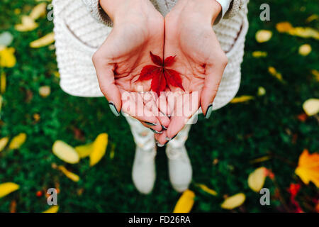 Foglie di autunno nelle mani di ragazza Foto Stock