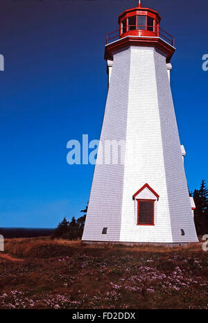 Mucche di mare Capo Faro,Prince Edward Island Foto Stock