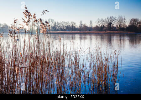 Un inverno di sunrise su uno dei laghi a Cotswold Water Park Foto Stock