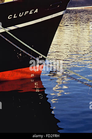 Pesca pelagica pescatori al lavoro in Fraserburgh Scozia Scotland Foto Stock