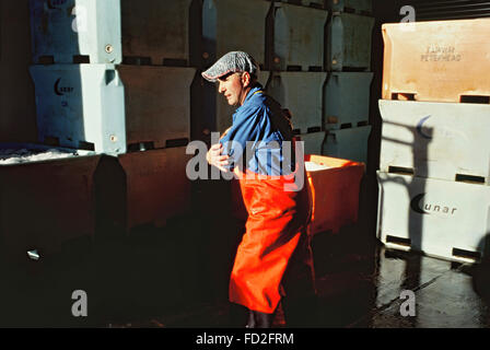 Pesca pelagica pescatori al lavoro in Fraserburgh Scozia Scotland Foto Stock