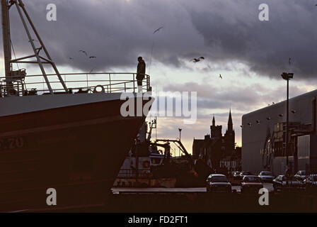 Pesca pelagica pescatori al lavoro in Fraserburgh Scozia Scotland Foto Stock