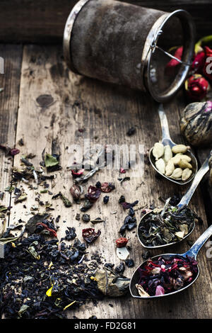 Tre cucchiaini di brew diverse varietà sullo sfondo della straine Foto Stock