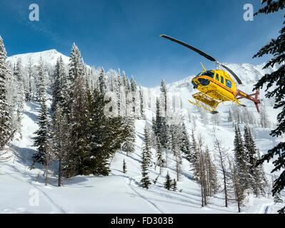 Elicottero vola paese indietro agli sciatori di montaggio remoto Carlyle Lodge; Selkirk montagne; British Columbia; Canada Foto Stock