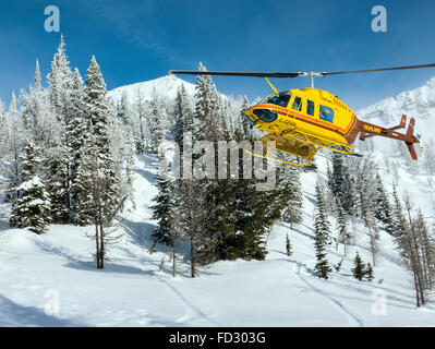 Elicottero vola paese indietro agli sciatori di montaggio remoto Carlyle Lodge; Selkirk montagne; British Columbia; Canada Foto Stock