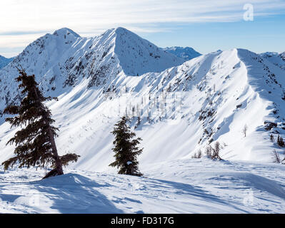 Vista invernale di Selkirk montagne vicino a montaggio remoto Carlyle Lodge; British Columbia; Canada Foto Stock