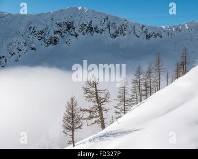 Vista invernale di Selkirk montagne vicino a montaggio remoto Carlyle Lodge; British Columbia; Canada Foto Stock