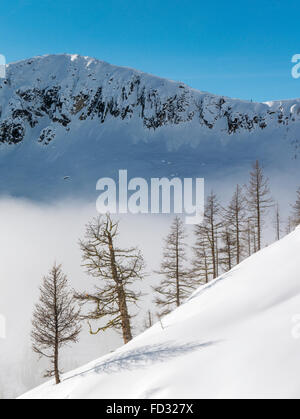 Vista invernale di Selkirk montagne vicino a montaggio remoto Carlyle Lodge; British Columbia; Canada Foto Stock